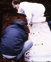 Lifting Lindow Man